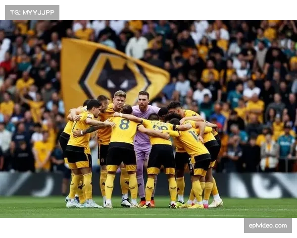 水晶宫0-2不敌狼队，遭遇联赛三连败