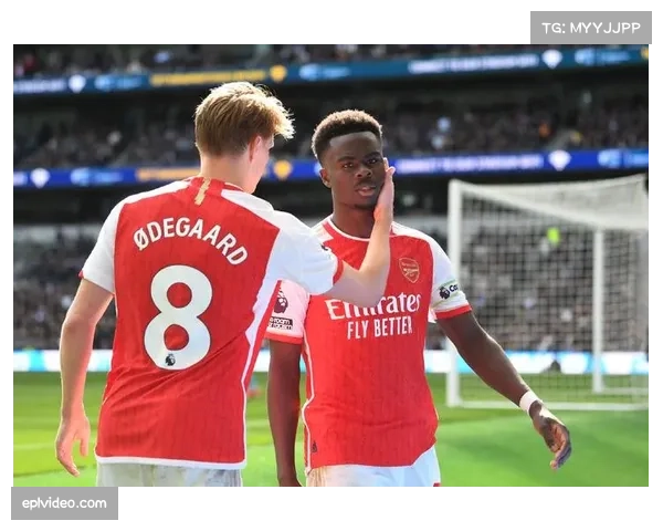 北伦敦德比球迷冲突导致比赛中断十分钟，警方介入